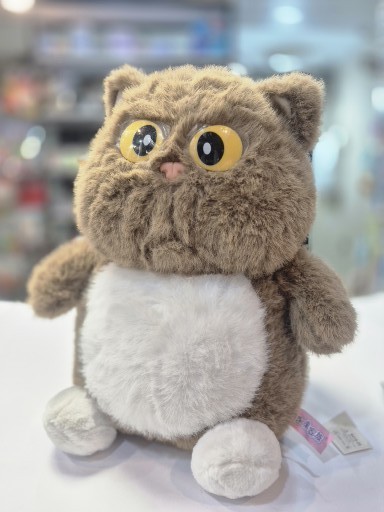 عروسک گربه خپل