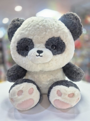 پاندا و سگ دو چهره